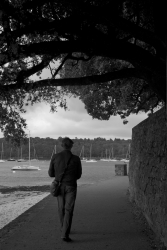 Une paisible promenade