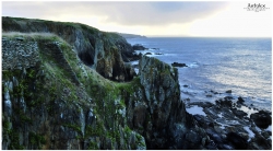 Terre sauvage (x2)