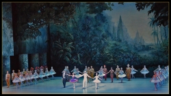 La Bayadère.