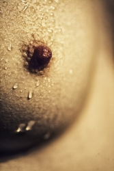 la tentation