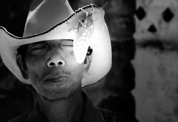 l'homme à la sauterelle