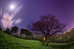 Full moon race *