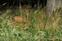 Agréable rencontre...