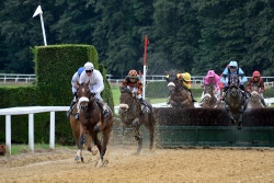 L'obstacle