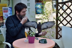 Les habitués du bar (x4)