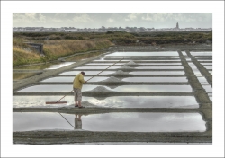 Marais Salants de Guérande