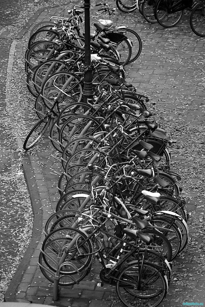 Où est mon vélo !!!