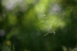 Photo inscription n°4