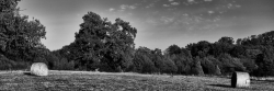 Campagne