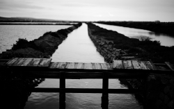 le ponton