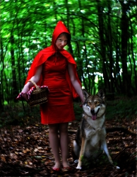 Loup y es tu ?