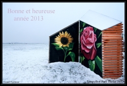 Bonne année