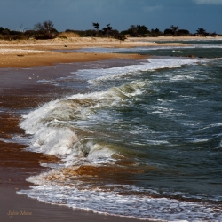Un peu de sable et de mer