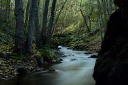 gorge de la monne