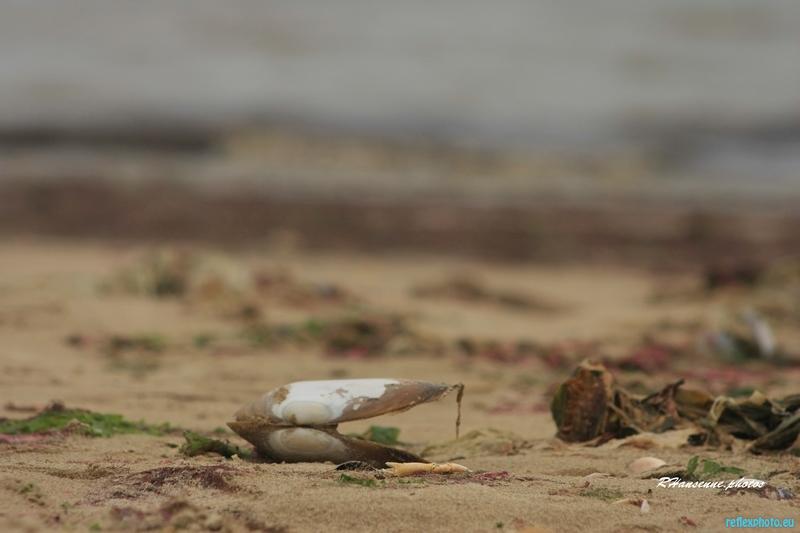 La plage, en octobre