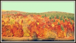 Automne