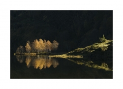 L'île de lumière(2)