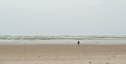 Il est libre Max
