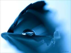 Perle bleue