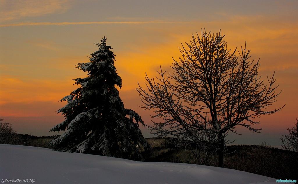 Lumière de l'hiver vosgien