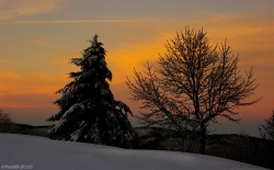 Lumière de l'hiver vosgien