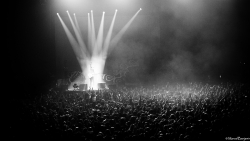1er Zenith !
