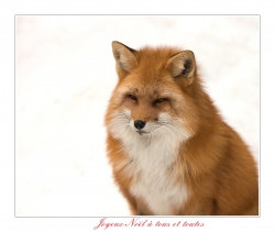 Joyeux Noël