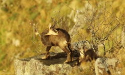 Mère et fille ...et cahe-cache