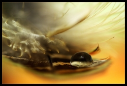 Goutte de feu