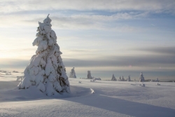 paysage lunaire