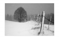 La tristesse des anges*