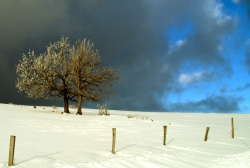 Le calme avant la tempête
