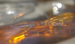 De Glace et de Feu (série 4 images)