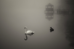 comme un signe des temps..