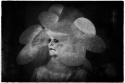 portrait baroque