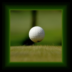 green tee (réinterprété)