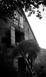 Rentrer les foins, 2