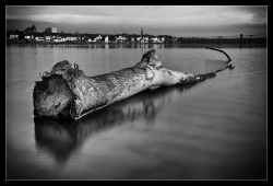 Ingrandes sur Loire