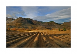 Plateau de st Laurent en Drôme Provençal !