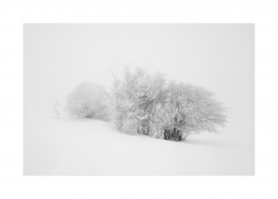 Paysage fligé !!!!