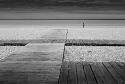L'atterrissage