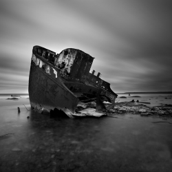 Vestige