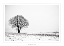 Vive le printemps