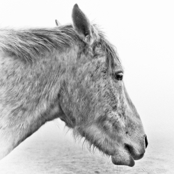 Photo inscription n°3
