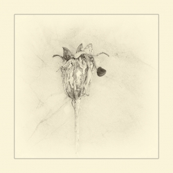 Germination
