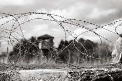 No freedom.