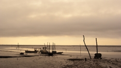 Couleurs matinales sur le Bassin