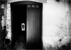 Dis-moi l'adresse du bonheur