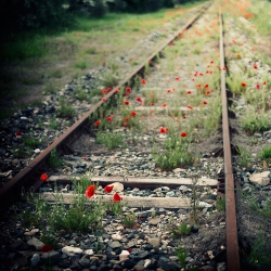 le chemin de fer