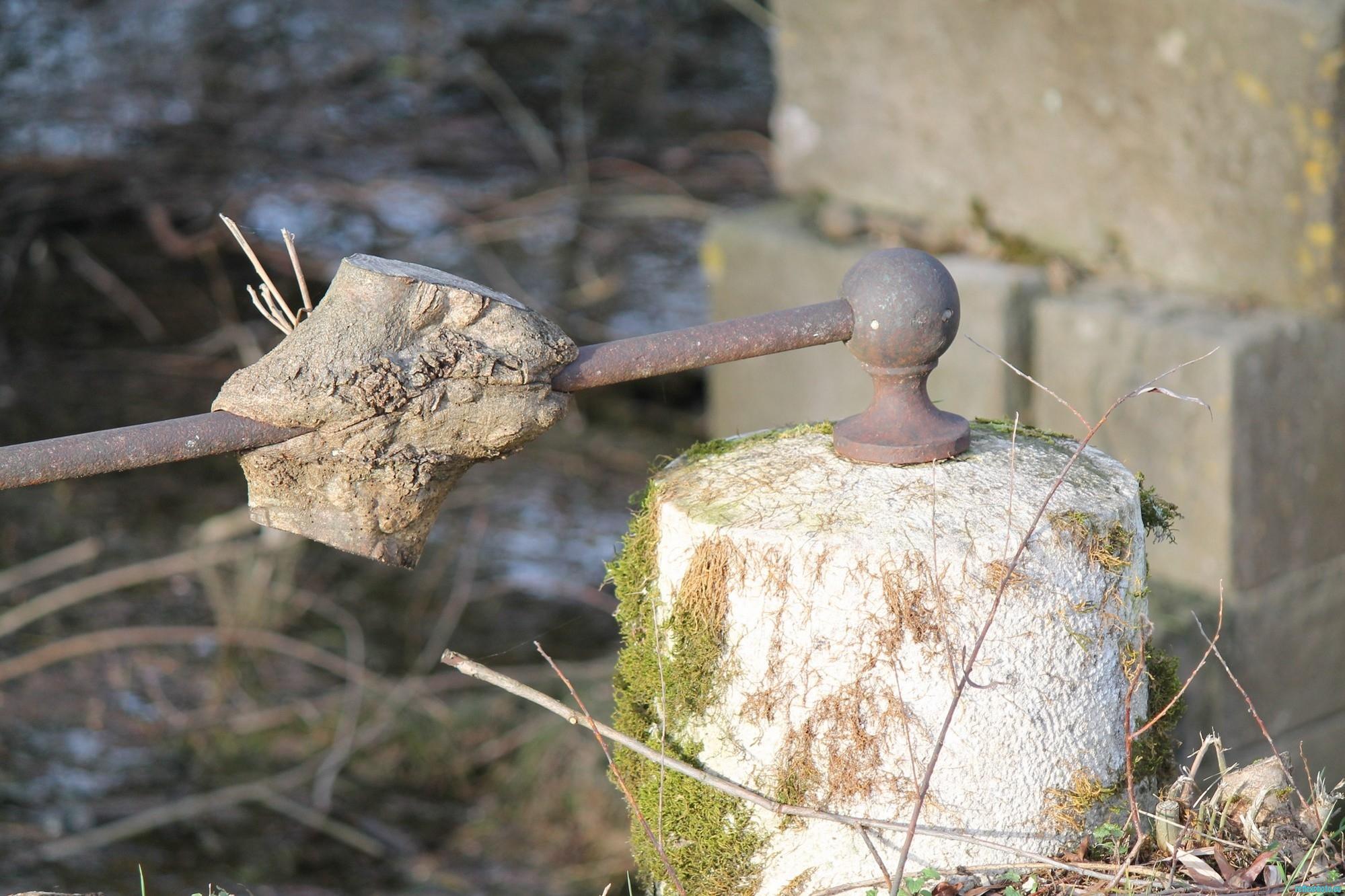 Photo inscription n°1